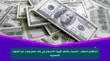 استقرار الدولار.. السبت يشهد تثبيت الأسعار في بنك مصر وعدد من البنوك المصرية